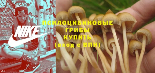 шишки Богданович