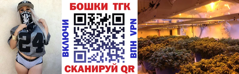 Бошки Шишки VHQ  МЕГА   Истра 